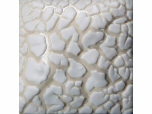 SW403 White Mudcrack
