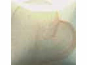 EZ 022 Flesh Tone
