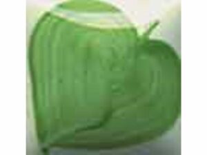 EZ 028 Leaf Green
