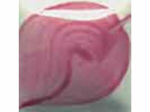 EZ 030 Rose