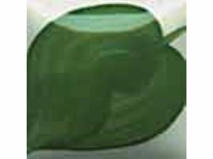 EZ 033 Ivy Green