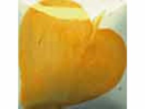 EZ 034 Orange