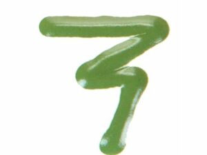 FD 271 French Kiwi