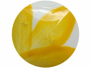OS013 Citrus