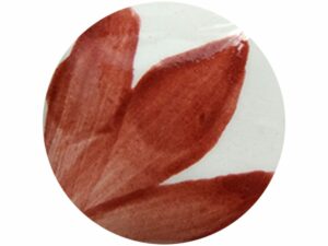 OS077 Coral
