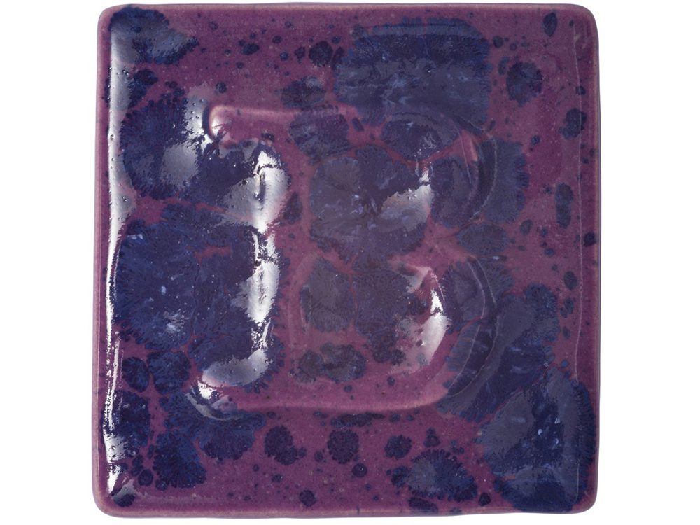 B9513 Anemone