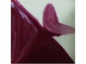 CC101 Purple Heart