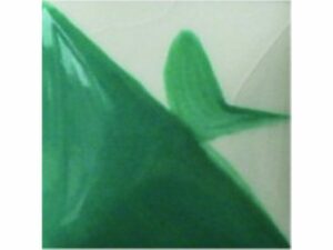 CC133 Tropical Waters