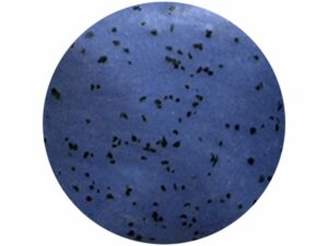 SC161 Blue By You