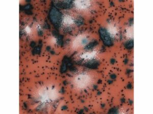 CG980 Coral Puff (Uit productie, leverbaar zolang de voorraad strekt)