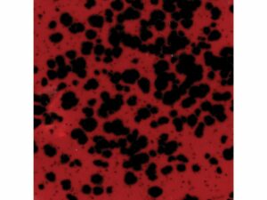 CG984 Lady Bug