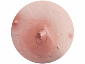 CR021 Rose Pink