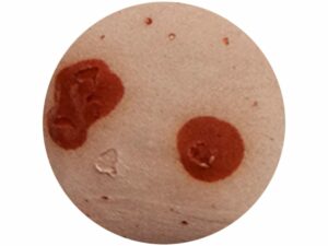 CR065 Terracotta