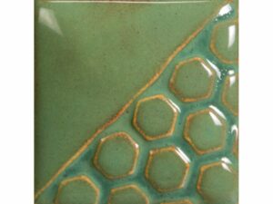 EL131 Turtle Shell