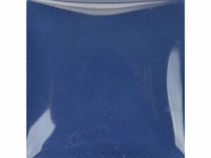 IN 1105 Envision Federal blue