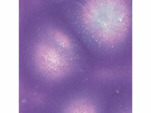 S2723 Grape Divine