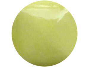 SG061 Daffodil