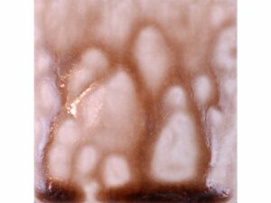 SHA 1423 Coffee Bean Ash