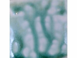 SHA 1424 Cactus Ash