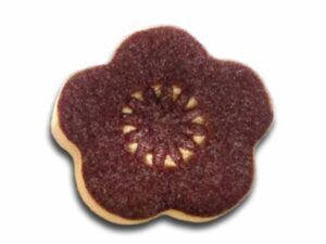 SHS 1407 Shino Aubergine