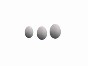 3 Kleine eieren