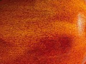 SG 2640 Glut Orange