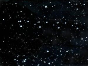 SG 8033 Dame de Noche