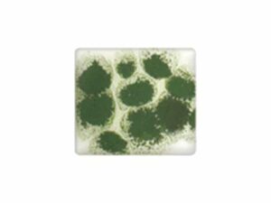 SGC CR06 Green Crystals