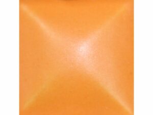 NTG 9200 Fall pumpkin new