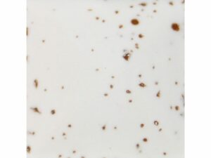 NTG 9400 Chocolate chip
