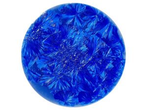 SN029 Anser