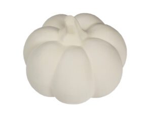 Biscuitvorm Pompoen 4