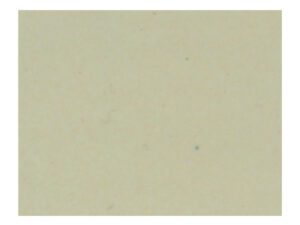 NTG 9204 Butter
