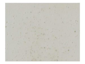 NTG 9349 Garden Sealer