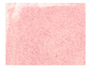 NTG 9402 Carnation spice