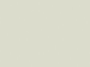 FD 273 Taupe