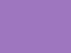 FD 281 French Lavender