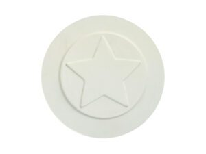Pop Star Plate