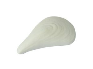 Schelp 2D