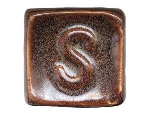 SP1389 Bronzite