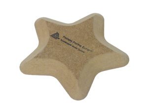 PFE023S Kerstster vorm