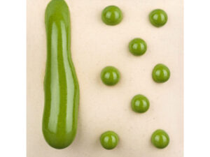 SW423 Slime Melt Gloop